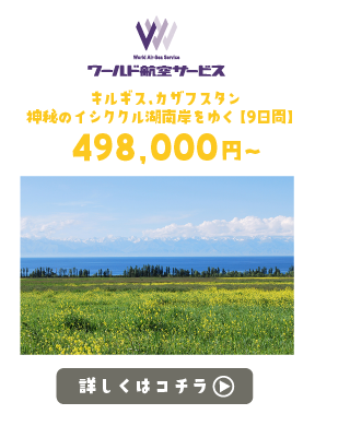 ワールド航空サービス